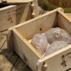 Best 招牌香芋餃 Taro Dumpling with Pork and Shrimp in Aurora, IL